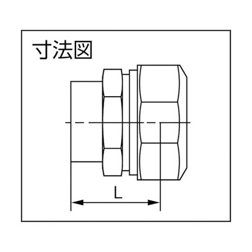 30PGV1LPE継手メネジ1種30mm