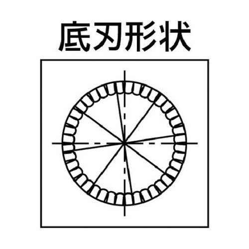 DIADCE8 アヤメルーター