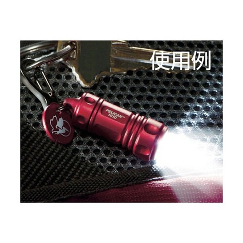 0181000100110 キーチェーン