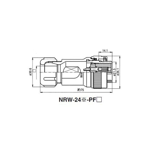 NRW245PF13 NRWプラグ