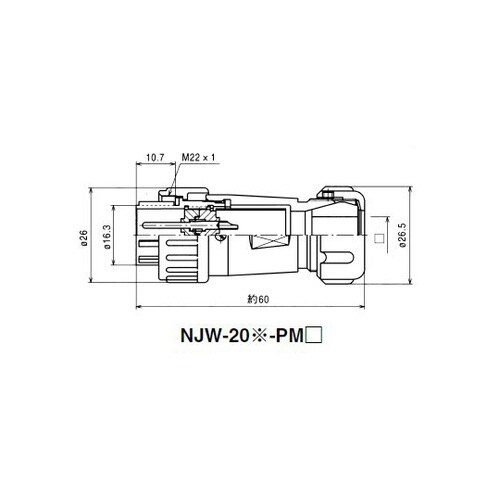 NJW203PM10 NJWプラグ