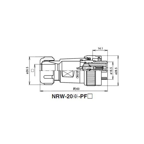 NRW2012PF10 NRWプラグ