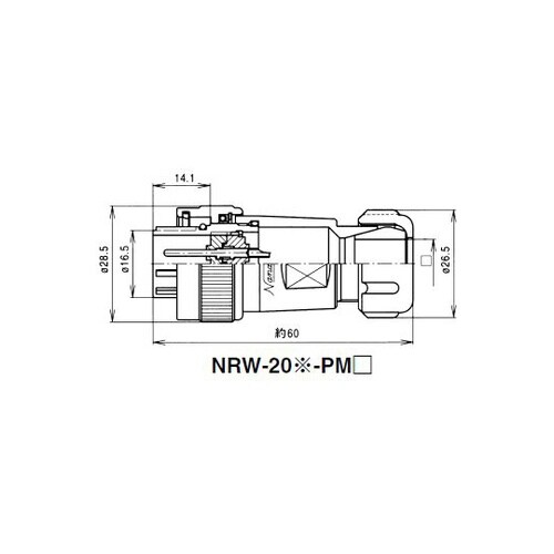 NRW2012PM12 NRWプラグ