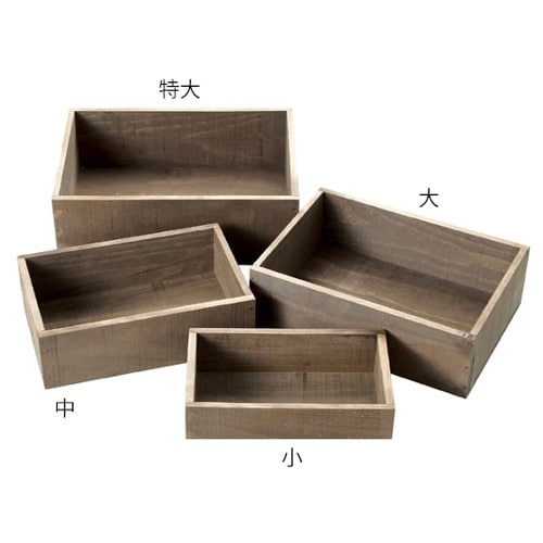 61−554−71−2ワイルドコンテナ中