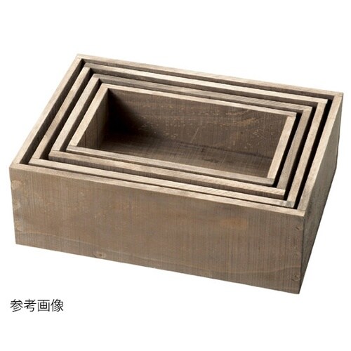 61−554−71−2ワイルドコンテナ中