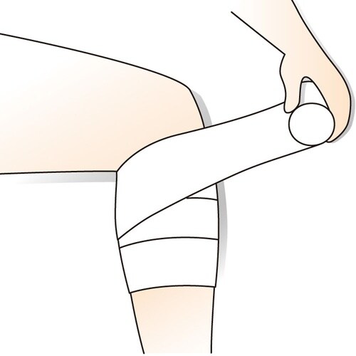 022042 ククロン No.2 6巻入