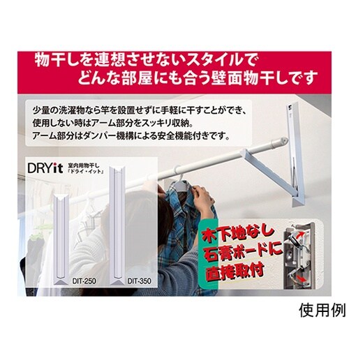 DIT−250 ドライイット 白