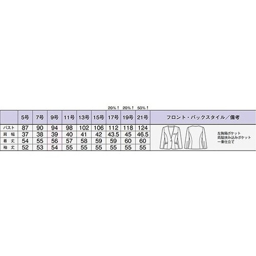 AJ0262−16 13G ジャケット
