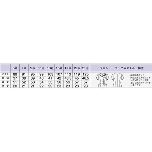AJ0843−39 17G ブラウス