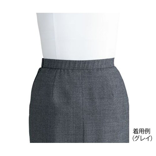AS2312−8 17GAラインスカート