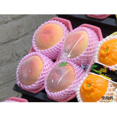 青果・農産容器 PS BPフルーツ 2L