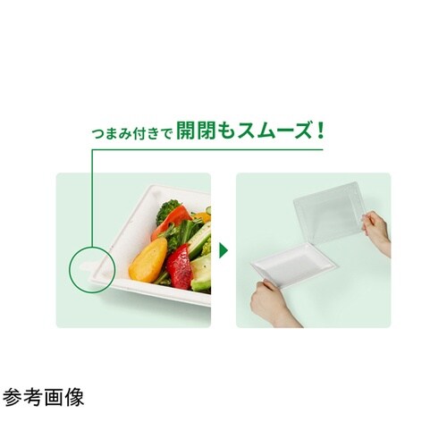 WB麦バガスプレート20−17プレート本