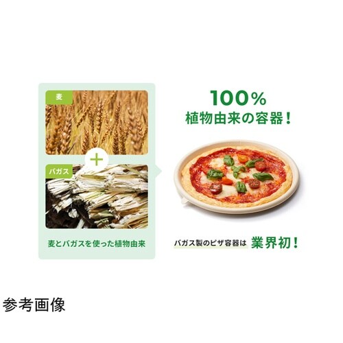 WB麦バガスピザ 10インチ ハーフ ク