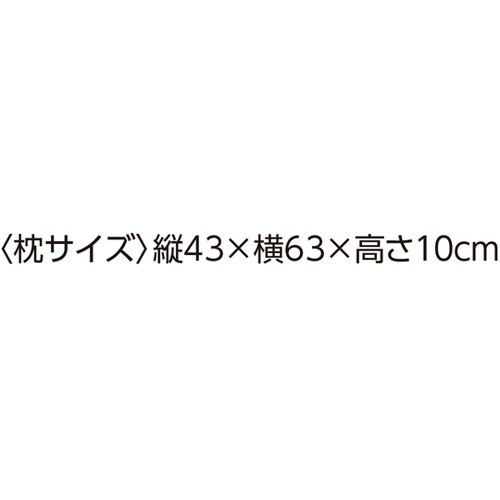 防ダニ抗菌防臭枕 干しヒモ付 アイボリー
