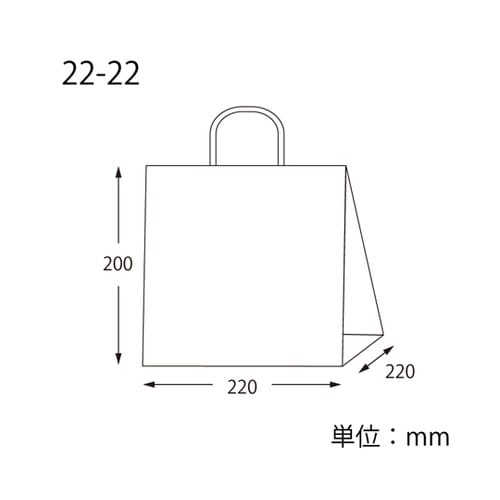 手提げ紙袋 Pスムースバッグ 22−22
