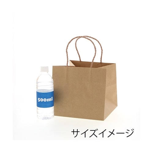 手提げ紙袋 Pスムースバッグ 22−22
