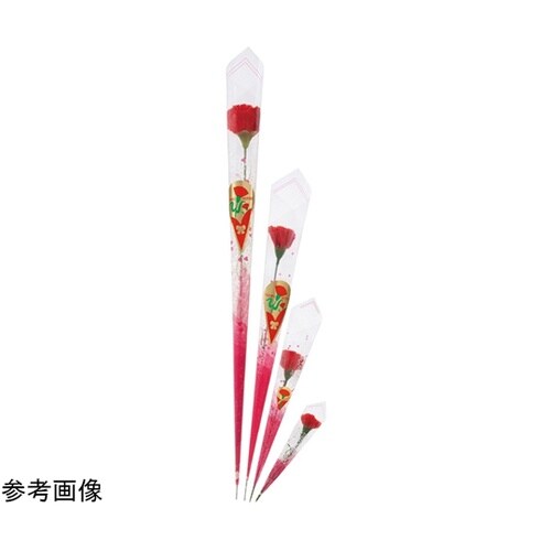 カーネーションラップ巻 レッド L14c