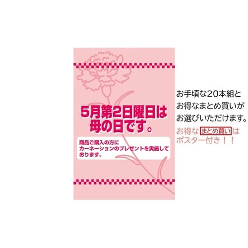 カーネーションラップ巻 レッド L28c