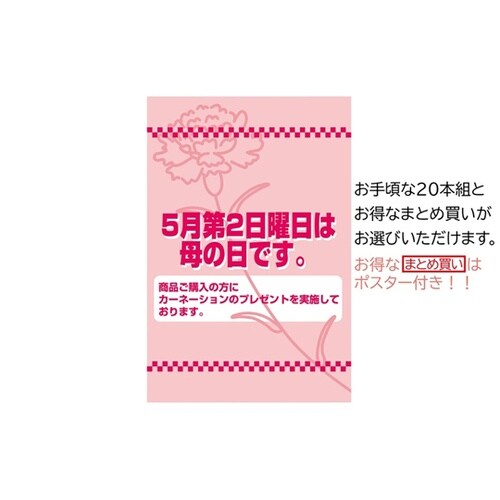 カーネーションラップ巻 ピンク L28c