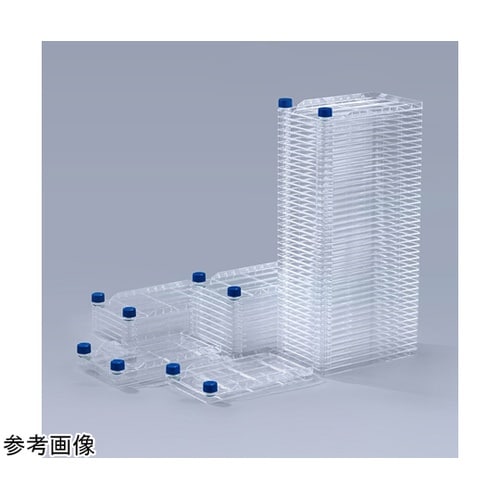 セルファクトリー 10レイヤー 接着細胞