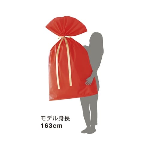 巾着袋 超BIG W 1000×1500