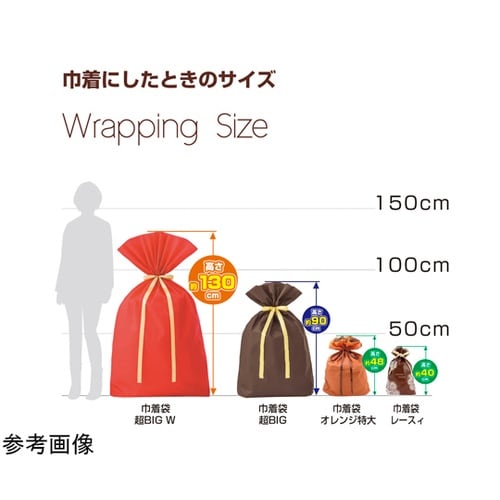 巾着袋 超BIG 750×1000 ダー