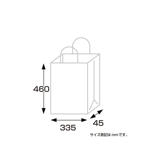 手提げ袋 額縁用 335×45×460m