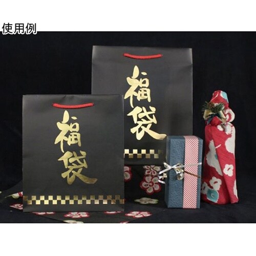 紙袋 手提袋 福ノワール 小 50枚 1