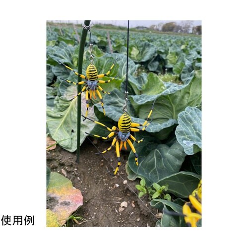 除労蜘蛛 60個入 M−46