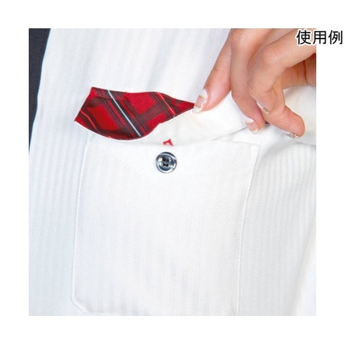 AMUS−NET シャツブラウス 260