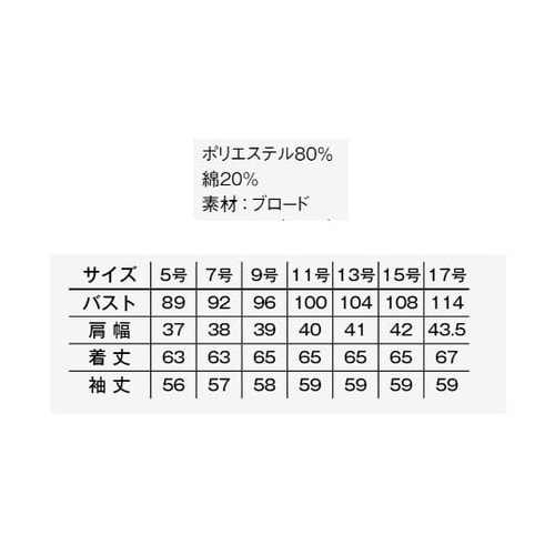 レディスレギュラーカラー長袖ブラウス サ