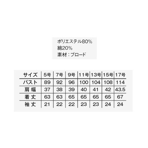 レディスレギュラーカラー半袖ブラウス サ