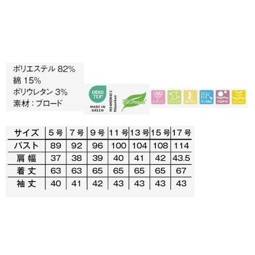 レディスレギュラーカラー半袖ブラウス ピ