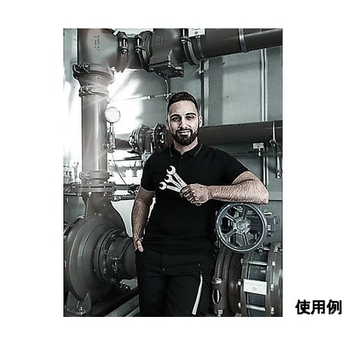 1/4” コンビネーションレンチ EA6