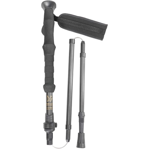 northern country フォー