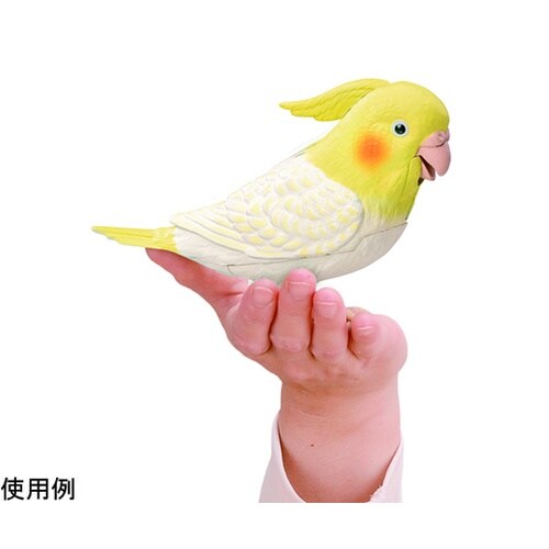 もっとおしゃべり天才オカメインコちゃん