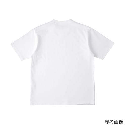 USAコットンTシャツ ホワイト XL