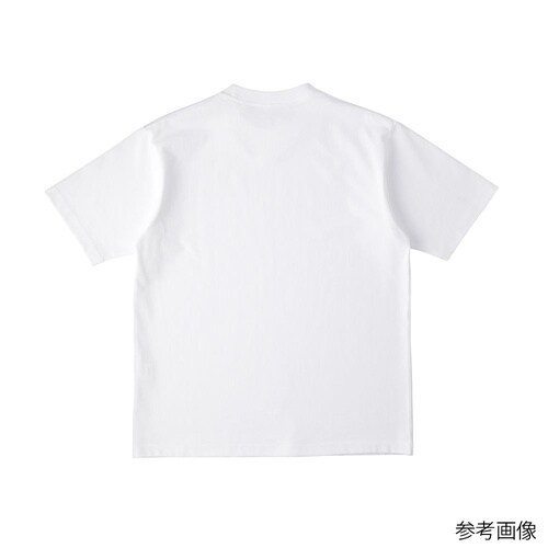 USAコットンTシャツ ナチュラル XL