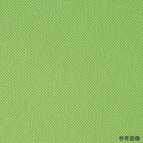 ハニカムTシャツ ホワイト 6XL HN