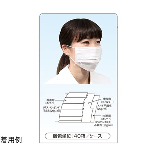 1パックマスク 1ケース(50枚×40箱