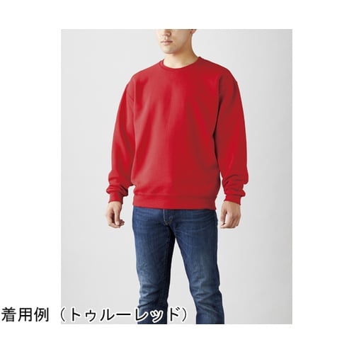 ジャージーズNUBLENDスウェットシャ