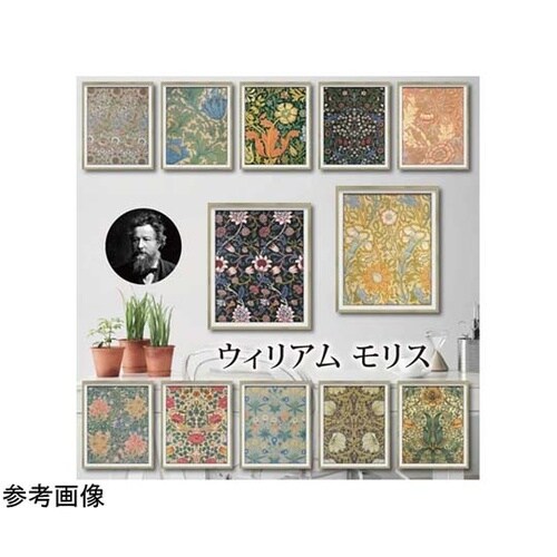 モリス「バウワー」 WM−04018