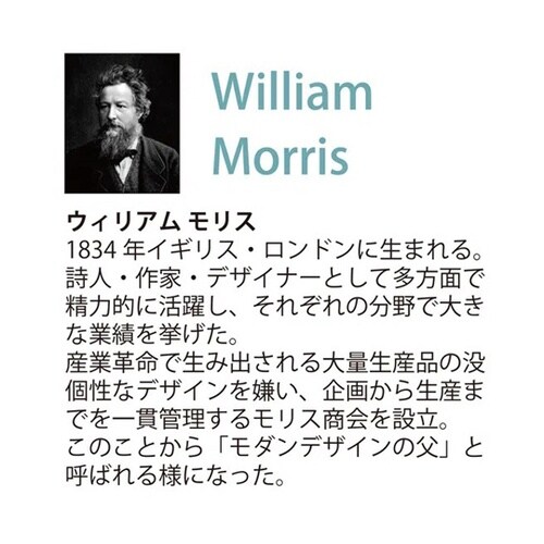モリス「バウワー」 WM−04018