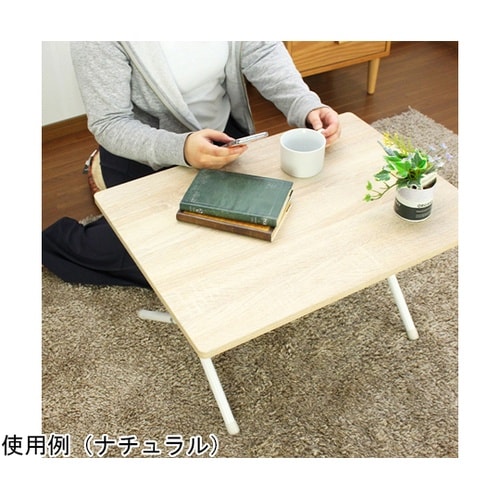 折りたたみ木製テーブル ロータイプ NA