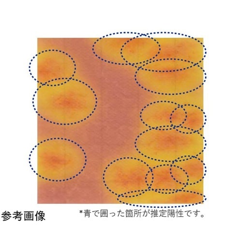 MC−Media Pad EB 腸内細菌