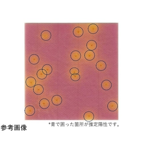 MC−Media Pad EB 腸内細菌