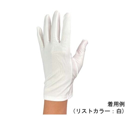 防塵手袋 シリコンコーティング高防塵タイ