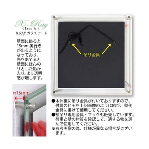 X RAY ガラス アート「ジャーニー
