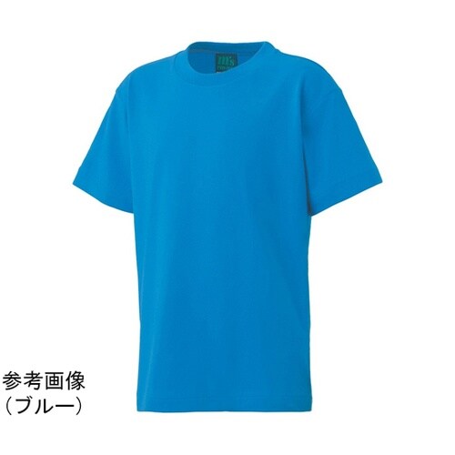 T301 サンマルタンTシャツ ホワイト