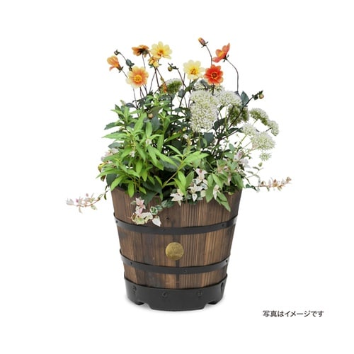 ウッドバレルプランター 深型S PPW−